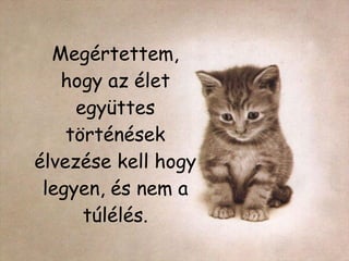 Megértettem, hogy az élet együttes történések élvezése kell hogy legyen, és nem a túlélés. 