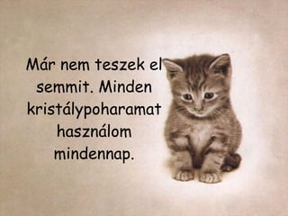 Már nem teszek el semmit. Minden kristálypoharamat használom mindennap. 