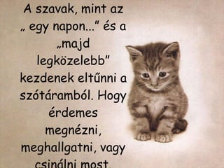 A szavak, mint az „ egy napon...” és a „majd legközelebb” kezdenek eltűnni a szótáramból. Hogy érdemes megnézni, meghallgatni, vagy csinálni most. 