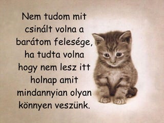 Nem tudom mit csinált volna a barátom felesége, ha tudta volna hogy nem lesz itt holnap amit mindannyian olyan könnyen veszünk. 