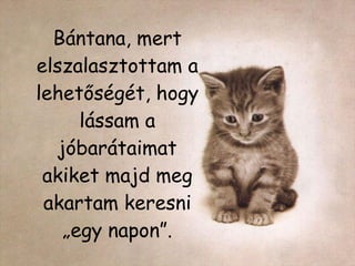 Bántana, mert elszalasztottam a lehetőségét, hogy lássam a jóbarátaimat akiket majd meg akartam keresni „egy napon”. 