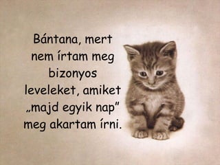 Bántana, mert nem írtam meg bizonyos leveleket, amiket „majd egyik nap” meg akartam írni. 