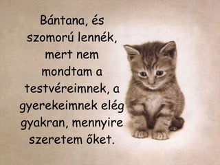 Bántana, és szomorú lennék, mert nem mondtam a testvéreimnek, a gyerekeimnek elég gyakran, mennyire szeretem őket. 