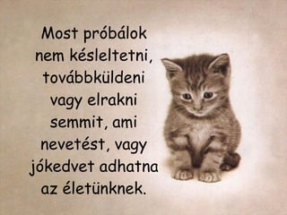 Most próbálok nem késleltetni, továbbküldeni vagy elrakni semmit, ami nevetést, vagy jókedvet adhatna az életünknek. 