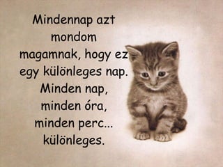 Mindennap azt mondom magamnak, hogy ez egy különleges nap. Minden nap, minden óra, minden perc... különleges. 