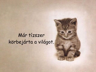 Már tízszer körbejárta a világot. 