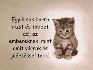 Egyél sok barna rizst és többet adj az embereknek, mint amit várnak és jóérzéssel tedd. 