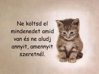 Ne költsd el mindenedet amid van és ne aludj annyit, amennyit szeretnél. 