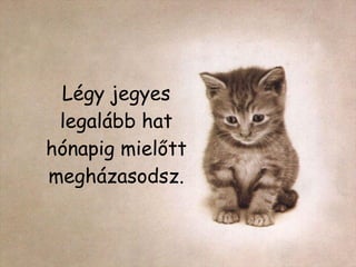 Légy jegyes legalább hat hónapig mielőtt megházasodsz. 