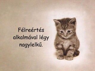 Félreértés alkalmával légy nagylelkű. 