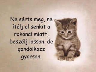 Ne sérts meg, ne ítélj el senkit a rokonai miatt, beszélj lassan, de gondolkozz gyorsan. 