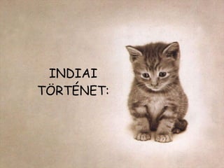 INDIAI TÖRTÉNET : 