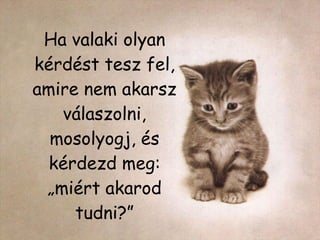 Ha valaki olyan kérdést tesz fel, amire nem akarsz válaszolni, mosolyogj, és kérdezd meg: „miért akarod tudni ? ” 