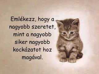 Emlékezz, hogy a nagyobb szeretet, mint a nagyobb siker nagyobb kockázatot hoz magával. 