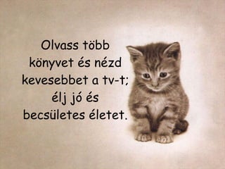 Olvass több könyvet és nézd kevesebbet a tv-t ;  élj jó és becsületes életet. 