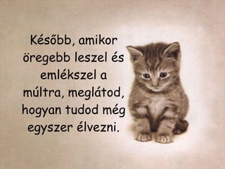 Később, amikor öregebb leszel és emlékszel a múltra, meglátod, hogyan tudod még egyszer élvezni. 