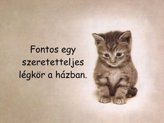 Fontos egy szeretetteljes légkör a házban. 