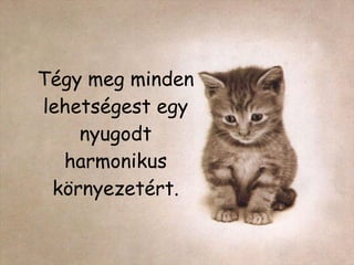 Tégy meg minden lehetségest egy nyugodt harmonikus környezetért. 