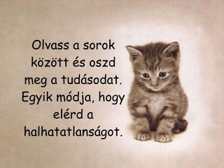 Olvass a sorok között és oszd meg a tudásodat. Egyik módja, hogy elérd a halhatatlanságot. 