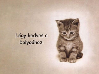 Légy kedves a bolygóhoz. 