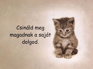 Csináld meg magadnak a saját dolgod. 