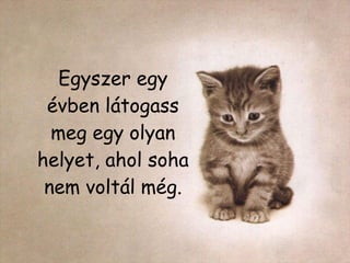 Egyszer egy évben látogass meg egy olyan helyet, ahol soha nem voltál még. 