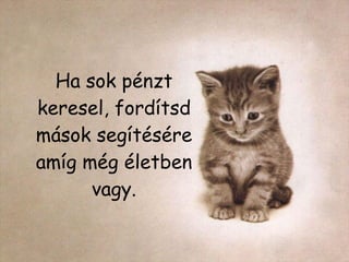 Ha sok pénzt keresel, fordítsd mások segítésére amíg még életben vagy. 