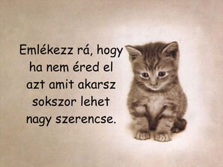 Emlékezz rá, hogy ha nem éred el azt amit akarsz sokszor lehet nagy szerencse. 