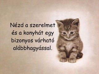 Nézd a szerelmet és a konyhát egy bizonyos várható alábbhagyással. 