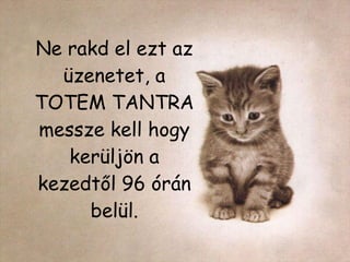 Ne rakd el ezt az üzenetet, a  TOTEM TANTRA  messze kell hogy kerüljön a kezedtől 96 órán belül. 