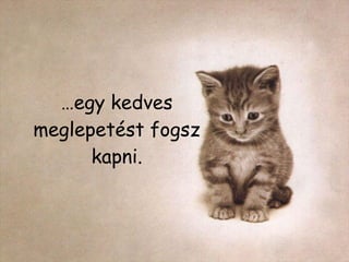 … egy kedves meglepetést fogsz kapni. 
