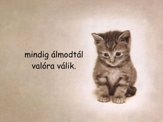 mindig álmodtál valóra válik. 