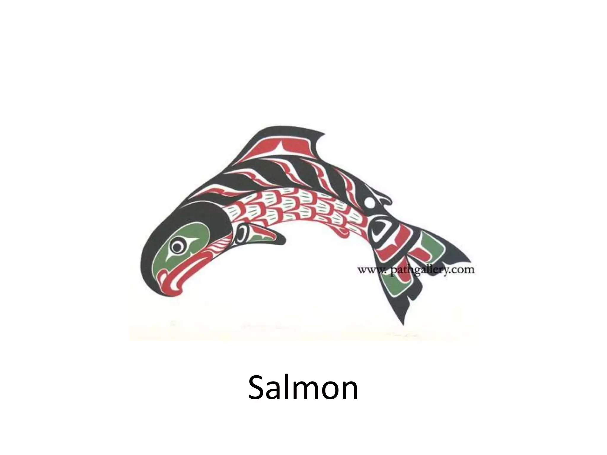 Salmon

 