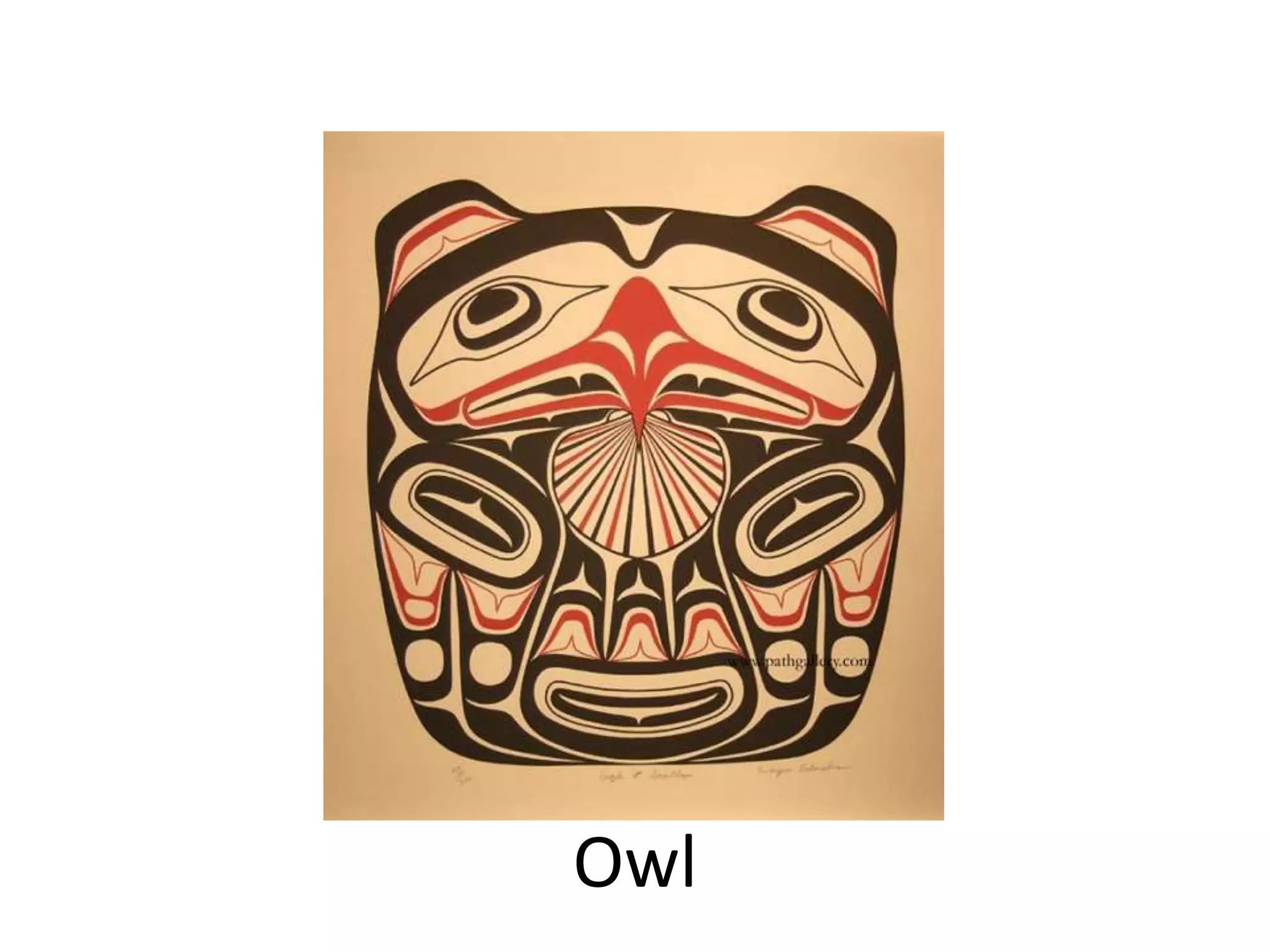 Owl

 