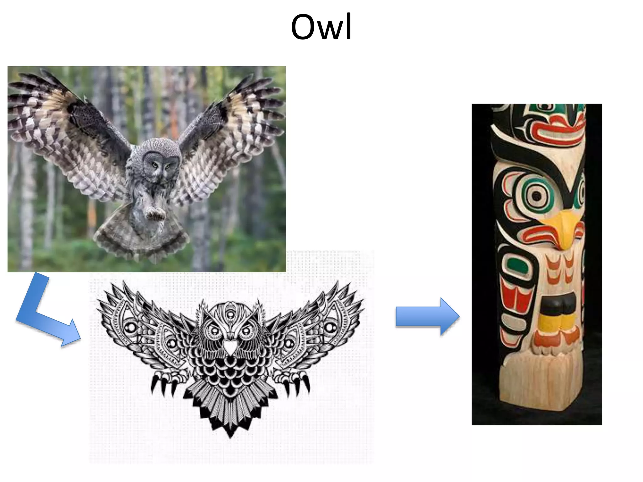 Owl

 