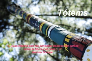 Tótems


,

"(...)Los tótems son los símbolos básicos del enlace
              entre la tierra y el cielo.(...)"
                     Hernan Dompé
                                        Prof. Alejandra
                                        Martin
 