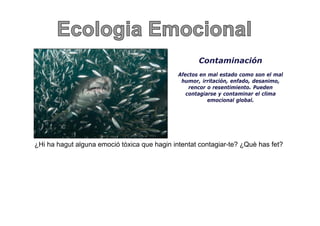 Contaminación
                                              Afectos en mal estado como son el mal
                                               humor, irritación, enfado, desanimo,
                                                  rencor o resentimiento. Pueden
                                                           resentimiento
                                                 contagiarse y contaminar el clima
                                                         emocional global.




¿Hi ha hagut alguna emoció tòxica que hagin intentat contagiar-te? ¿Què has fet?
 