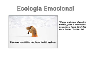 "Nunca andes por el camino
                                                   trazado, pues él te conduce
                                                           ,p
                                                   únicamente hacia donde los
                                                   otros fueron." Grahan Bell




Una nova possibilitat que hagis decidit explorar
 