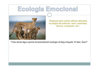 “Espacios para cultivar afectos delicados
                                      en peligro de extinción: amor, serenidad,
                                              ternura, compasión, etc.”
                                                           p




T’has donat algun p
              g permis emocionalment ecologic al llarg d’aquets 15 dies. Quin?
                                          g          g    q
 