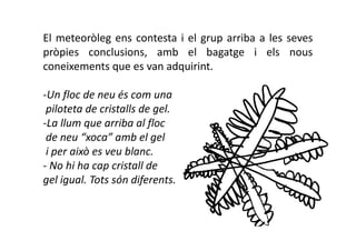 El meteoròleg ens contesta i el grup arriba a les seves
pròpies conclusions, amb el bagatge i els nous
coneixements que es van adquirint.

-Un floc de neu és com una
 piloteta de cristalls de gel.
-La llum que arriba al floc
 de neu “xoca” amb el gel
 i per això es veu blanc.
- No hi ha cap cristall de
gel igual. Tots són diferents.
 