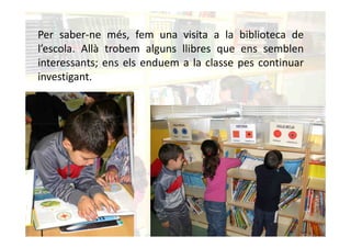 Per saber-ne més, fem una visita a la biblioteca de
l’escola. Allà trobem alguns llibres que ens semblen
interessants; ens els enduem a la classe pes continuar
investigant.
 