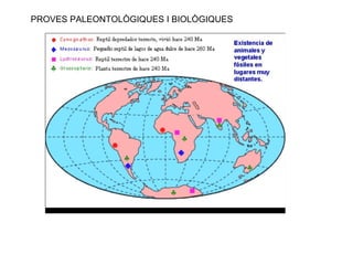 PROVES PALEONTOLÒGIQUES I BIOLÒGIQUES 