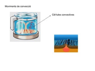 Moviments de convecció Cèl·lules convectives 