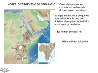 VORES  DIVERGENTS O DE SEPARACIÓ Marges constructius perquè és forma litosfera, la lava de l’Astenosfera puja i es solidifica com escorça oceànica Coincideixen amb les corrents ascendents de dos cèl·lules convectives Es formen dorsals i rift Hi ha activitat volcànica 