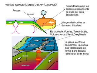 VORES  CONVERGENTS O D’APROXIMACIÓ  Coincideixen amb les corrents descendents de dues cèl·lules convectives Marges destructius es destrueix Litosfera Es produeix: Fosses, Terratrèmols, Volcans, Arcs d’illes i Orogènesis La placa s’enfonsa parcialment i provoca illes volcàniques en forma d’arc degut a l’esfericitat de la Terra Fosses 