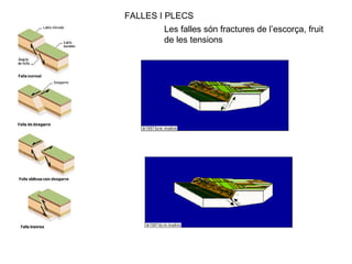 FALLES I PLECS Les falles són fractures de l’escorça, fruit de les tensions 