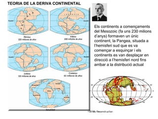 TEORIA DE LA DERIVA CONTINENTAL Els continents a començaments del Mesozoic (fa uns 230 milions d’anys) formaven un únic continent, la Pangea, situada a l’hemisferi sud que es va començar a esquinçar i els continents es van desplaçar en direcció a l’hemisferi nord fins arribar a la distribució actual 