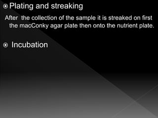 Plating Samples To test different samples like pus sample, | PPTX