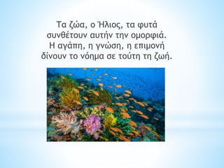 Τα ζώα, ο Ήλιος, τα φυτά
συνθέτουν αυτήν την ομορφιά.
Η αγάπη, η γνώση, η επιμονή
δίνουν το νόημα σε τούτη τη ζωή.
 