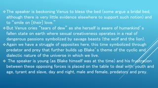 The speaker is beckoning Venus to bless the bed (some argue a bridal bed,
although there is very little evidence elsewhere to support such notion) and
to “smile on [their] love.”
But Venus cries “tears of dew” as she herself is aware of humankind’s
fallen state on earth where sexual creativeness operates in a real of
dangerous passions symbolized by savage beasts (the wolf and the lion).
Again we have a struggle of opposites here, this time symbolized through
predator and prey that further builds up Blake’s theme of the cyclic and
dialectic nature of the universe in which we live.
 The speaker is young (as Blake himself was at the time) and his frustration
between these opposing forces is placed on the table to deal with: youth and
age, tyrant and slave, day and night, male and female, predatory and prey.
 